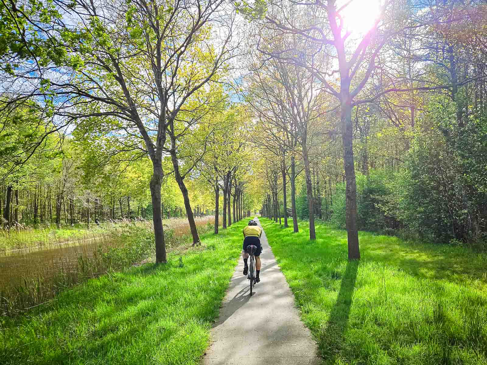 Cycliste sur la route à côté d'un canal Sur un long chemin le long d'un canal, un participant du Race around the Netherlands roule