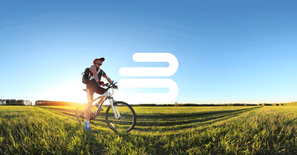 fahrrad xxl handyhalterung PRO Diamant Rad online kaufen Rose Gold E-Bike Size:55 cm (Riders 5'9