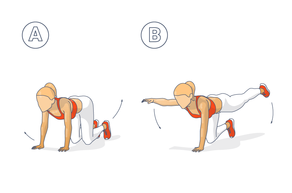 Exercice Tabata pour le tronc: Le Supermann ("Bird Dog") Guide illustré pour le Supermann en dessin