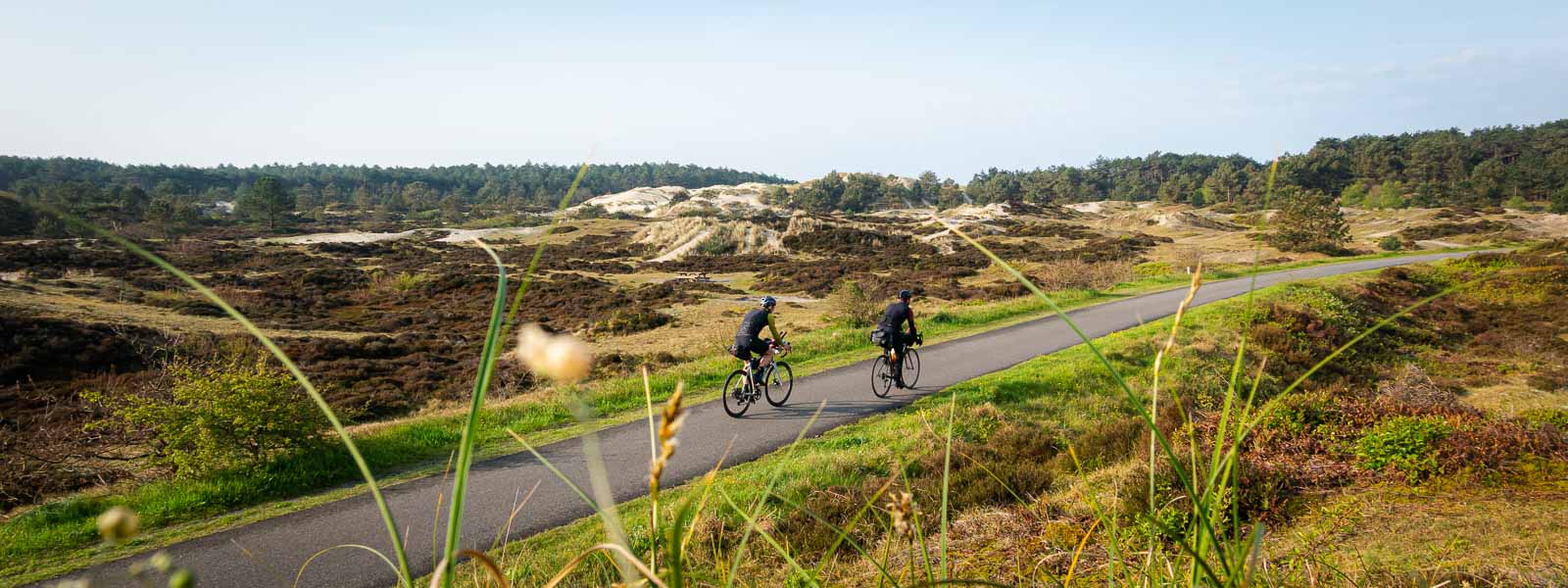 Radfahrer auf einer Straße in den Dünen Zwei Radfahrer die am Race around the Netherlands teilnehmen fahren auf einer Straße durch Dünen.