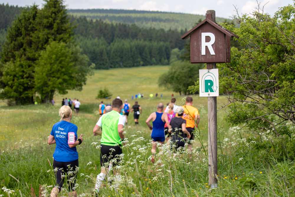 Rennsteiglauf : Marathon dans la nature Les coureurs du Rennsteiglauf courent à travers la nature