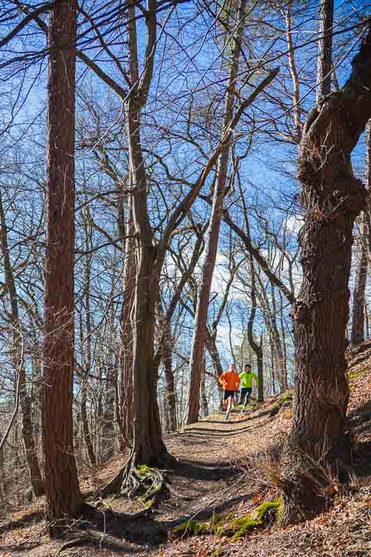 Energie tanken im Wald – Laufen in der Natur Zwei Männer laufen einen steilen Waldweg hinauf, umgeben von hohen, kahlen Bäumen und blauem Himmel. Beide tragen auffällige Laufjacken und Bandagen für zusätzlichen Halt.