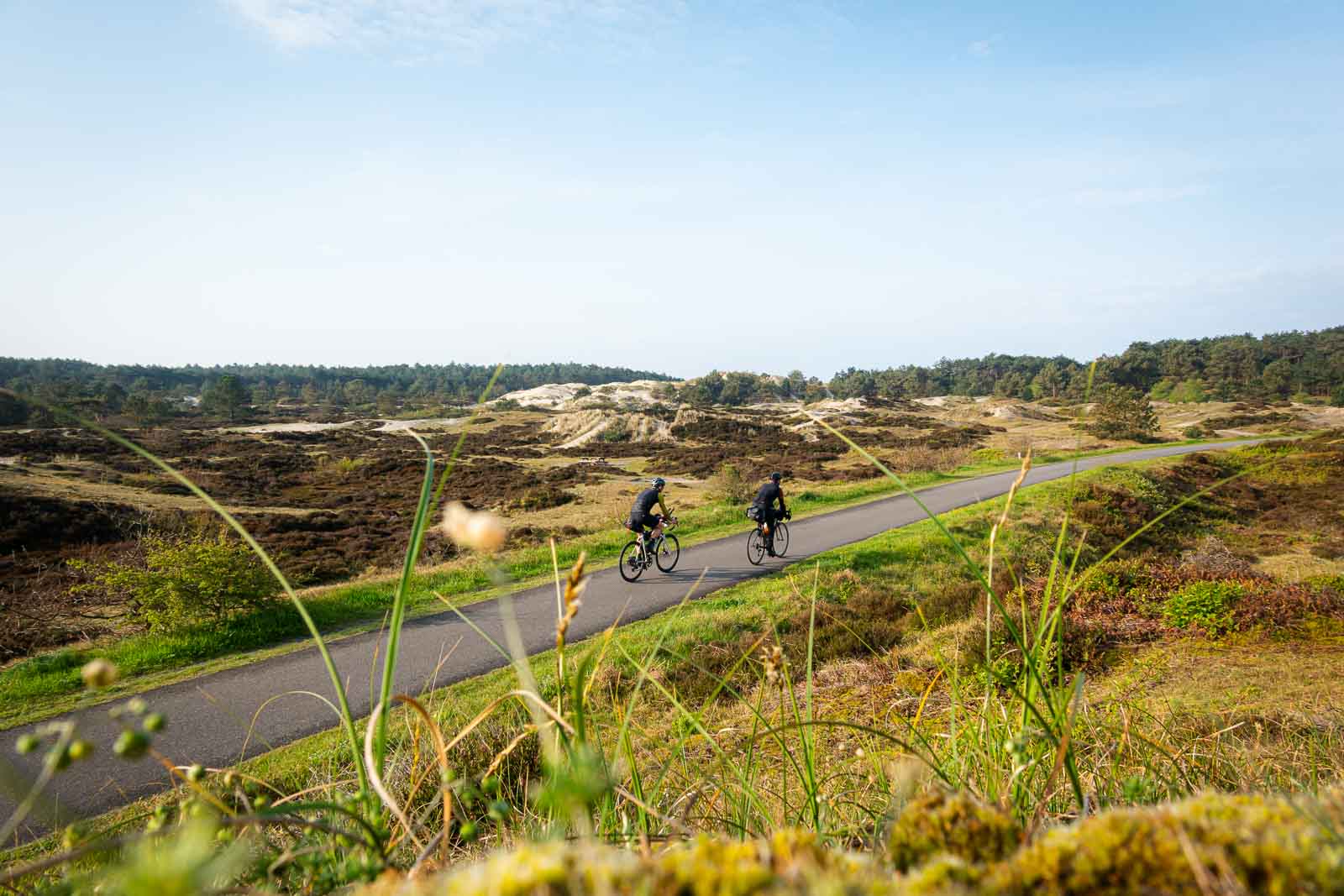 Cyclistes sur une route dans les dunes Deux cyclistes participant au Race around the Netherlands roulent sur une route à travers des dunes.