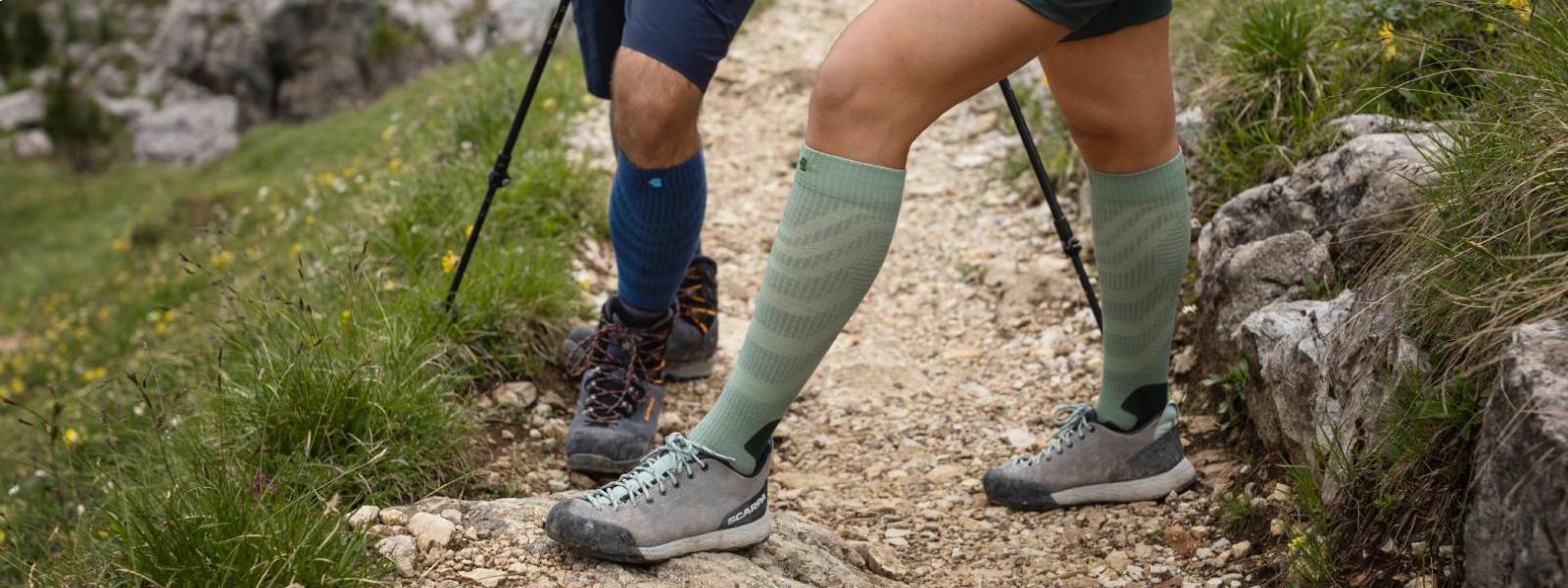 Merino Wandersocken in verschiedenen Farben Ausschnitt von vier Beinen mit angezogenen Merino Wandersocken auf einem Wanderweg